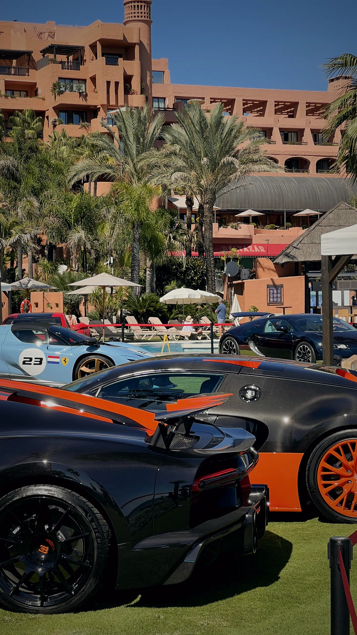 Veyrons lined up on the hotel lawn